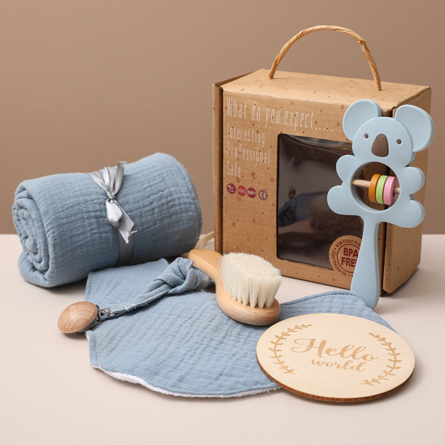 Baby Milestone Gift Set